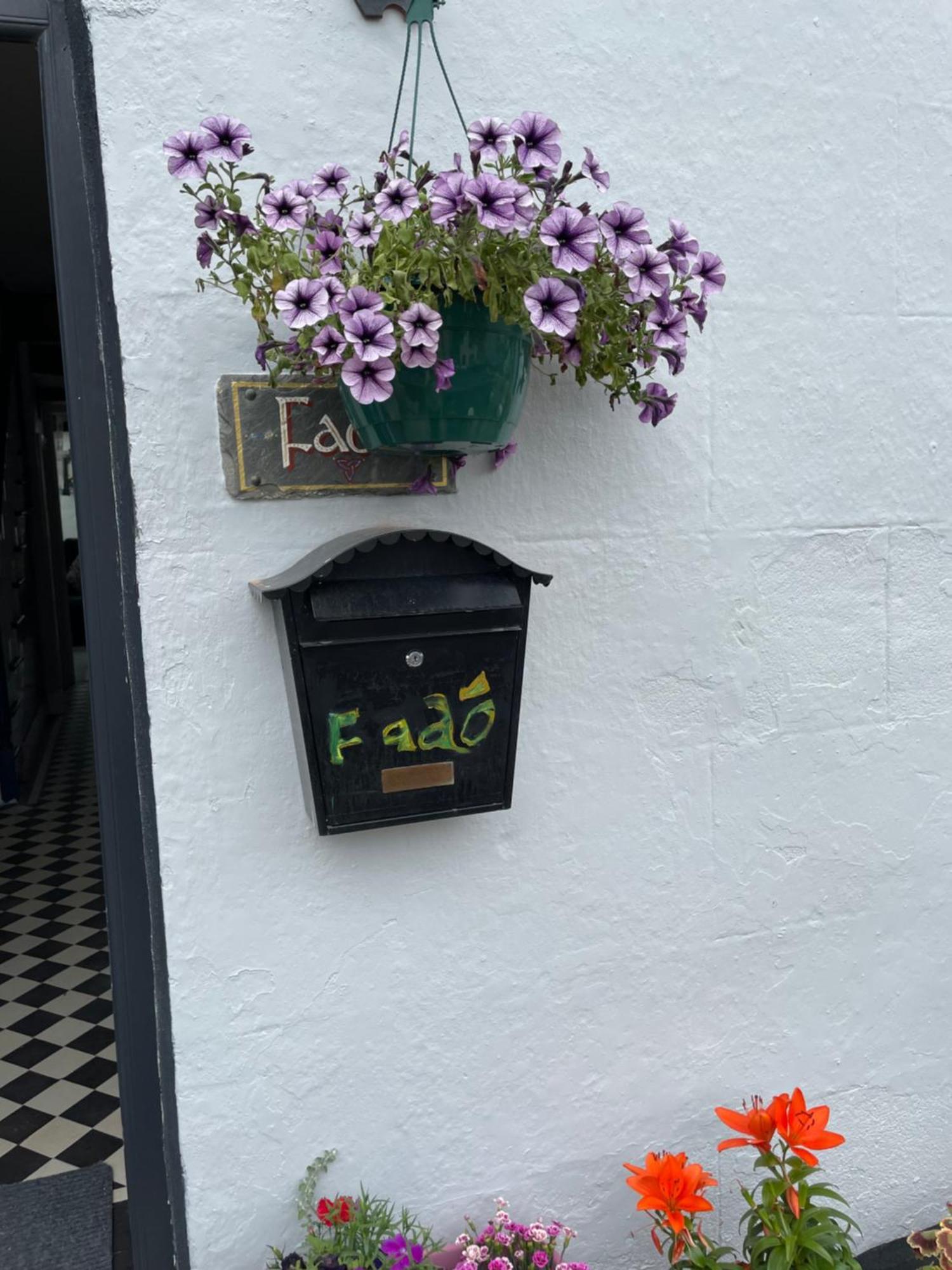 Fado * Ballina (Mayo)